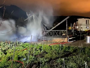 Bilecik’te Bağ Evlerinde Yangın