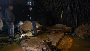 Bingöl’de Sağanak Suları Keçileri Mahsur Etti