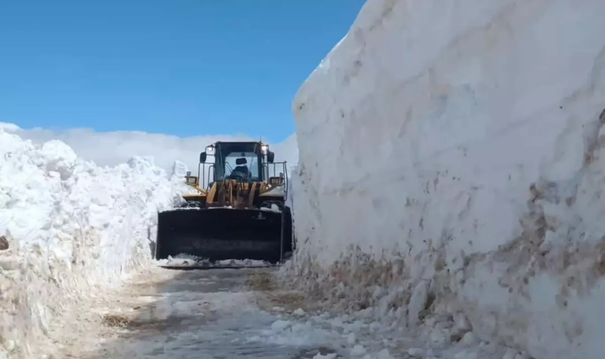 Bitlis’teki Çığ ve Heyelanlar Kapanan Yolları Açtı