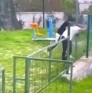 Bodrum’da Akran Kavgası: 2 Gözaltı