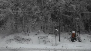 Bolu Dağı’nda Kar ve Sis Etkili