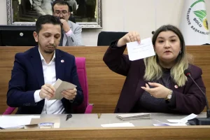 Bolu’da Başkanvekili Seçimi