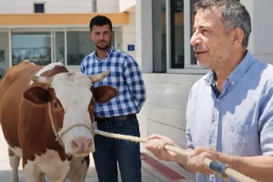 Bomba iddia: Belediye başkanının özel kalemi vatandaşı dolandırdı