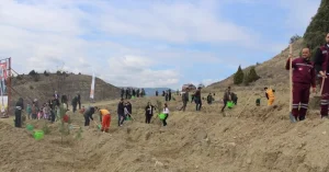 Boyabat’ta Orman Haftası Fidan Dikim Etkinliği