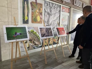Bozüyük’te Tarım Fotoğraf Yarışması Sergisi Açıldı