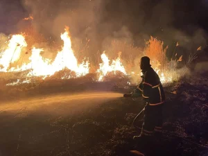 Burdur’da Sazlık Yangını Söndürüldü