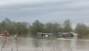 Bursa’da Selde Mahsur Kalan İki Köpek Kurtarıldı