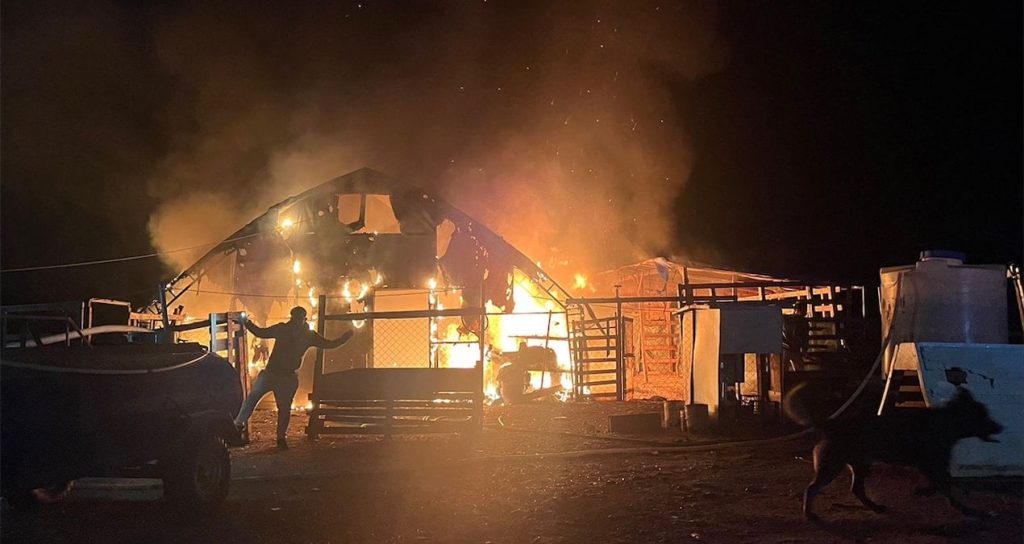 Bursa’daki yangında 580 hayvan öldü