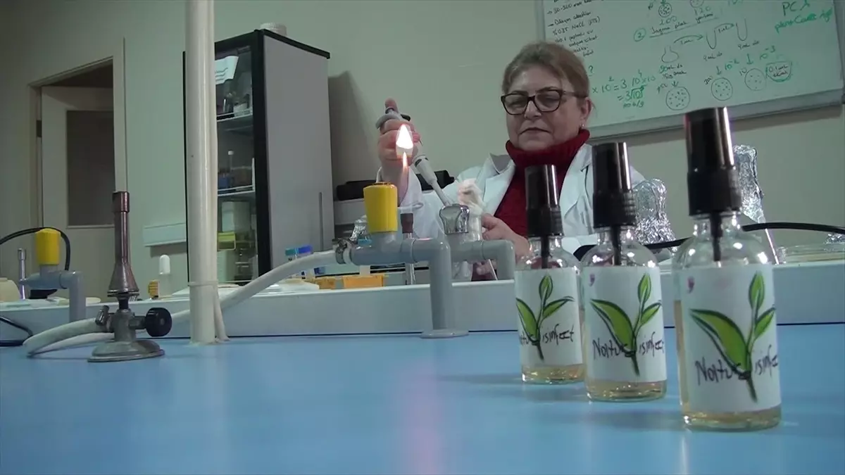 ÇOMÜ’den Doğal Dezenfektan Formülü