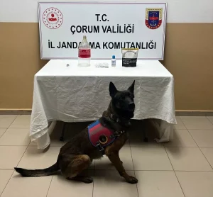 Çorum’da Uyuşturucu Operasyonu