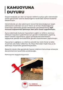 Çorum’daki Hayvanlara Kötü Muameleye Cezai İşlem