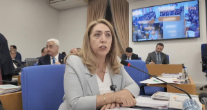 DEM Partili isim görevinden istifa etti