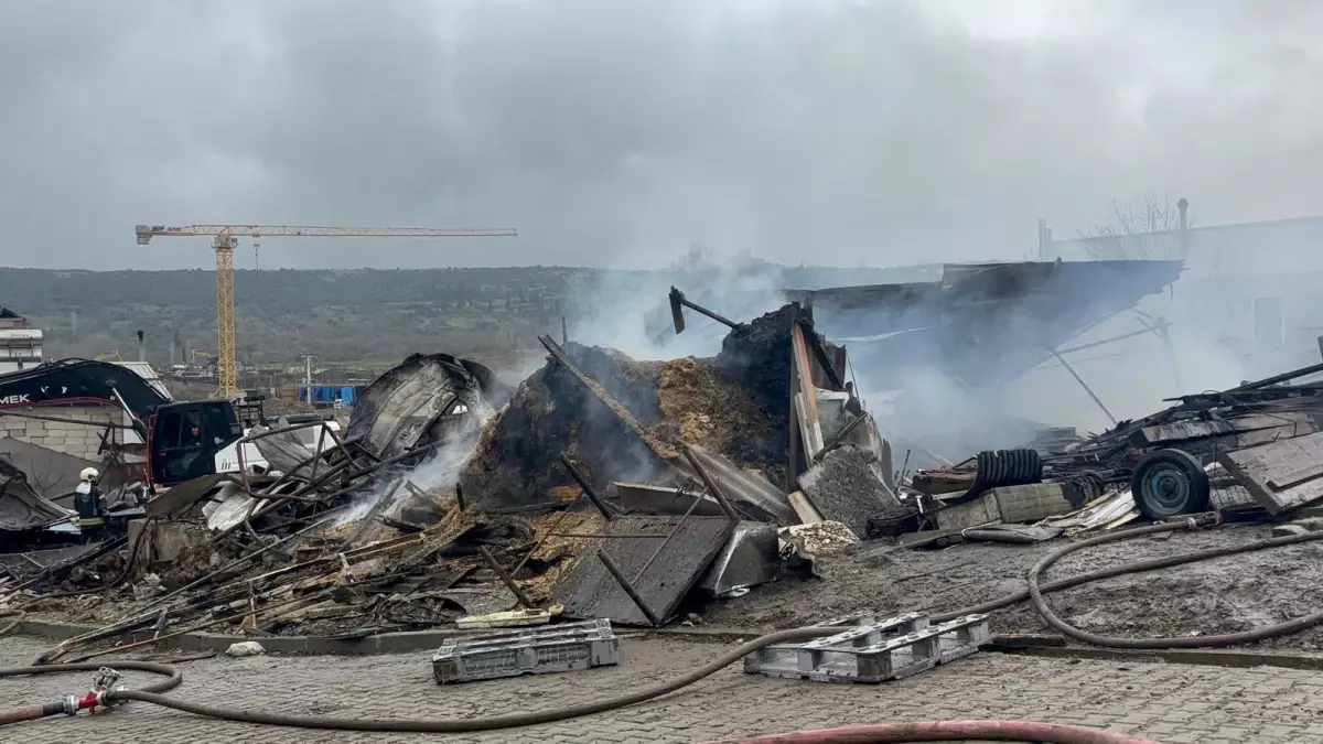 Dilovası’ndaki Ahır Yangını: 460 Hayvan Telef Oldu