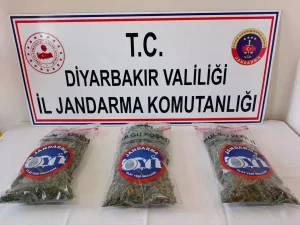 Diyarbakır’da Uyuşturucu Operasyonu