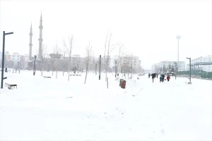 Doğu Anadolu’da Kar Yağışı Etkili