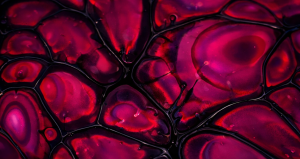 Dünyada bir ilk, onay verildi: Yeniden programlanmış insan hücreleri…