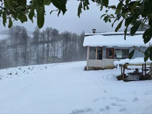 Düzce’de Kar Yağışı Etkili Oldu