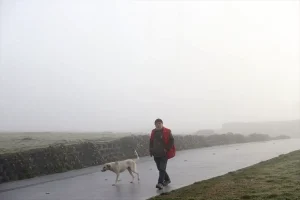 Edirne ve Tekirdağ’da Yoğun Sis Etkili