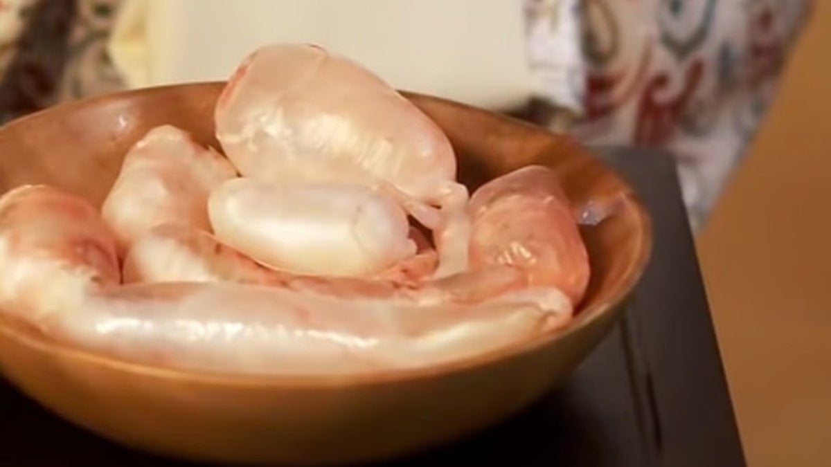 En ilkel doğum kontrol yöntemleri: Kurbağa yavrusu, balık midesi…