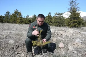 Erciyes’te 7 Milyon Fidan Dikildi