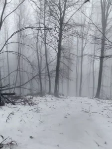 Erdek’te Kar Yağışı Etkili Oldu