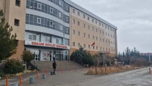 Ergani’de Silahlı Kavga: 1 Ölüm