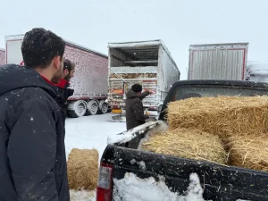 Erzincan’da Mahsur Kalan TIR’lara Yem Desteği