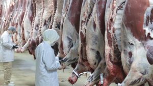 Et fiyatında manipülasyon yapanlara operasyon: 30 gözaltı