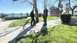 Falezlerdeki Kedi Ekiplerin Yanına Geldi