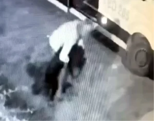 Garip Köpek Kaçırıldı