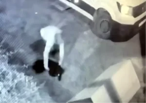 Garip’in Kaçırılması: Şüpheli Yakalandı