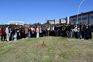 Gençlerden Çam Fidanı Dikimi