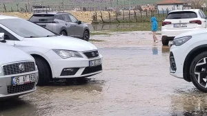 Gercüş’te Şiddetli Yağış ve Rüzgar Hasar Yüzde