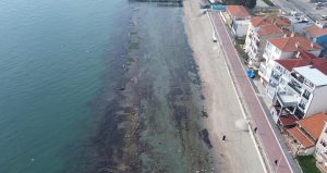 Görüntü Türkiye’den… Deniz 7 metre çekildi: ‘Kral Yolu’ ortaya çıktı