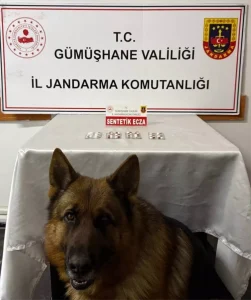 Gümüşhane’de Uyuşturucu Operasyonu