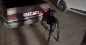 Hatay’da uyuşturucu sevkiyatı polise takıldı: 3 tutuklama