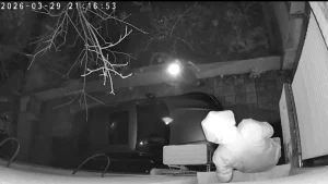 Hırsız kaçarken güvenlik kamerasına yakalandı