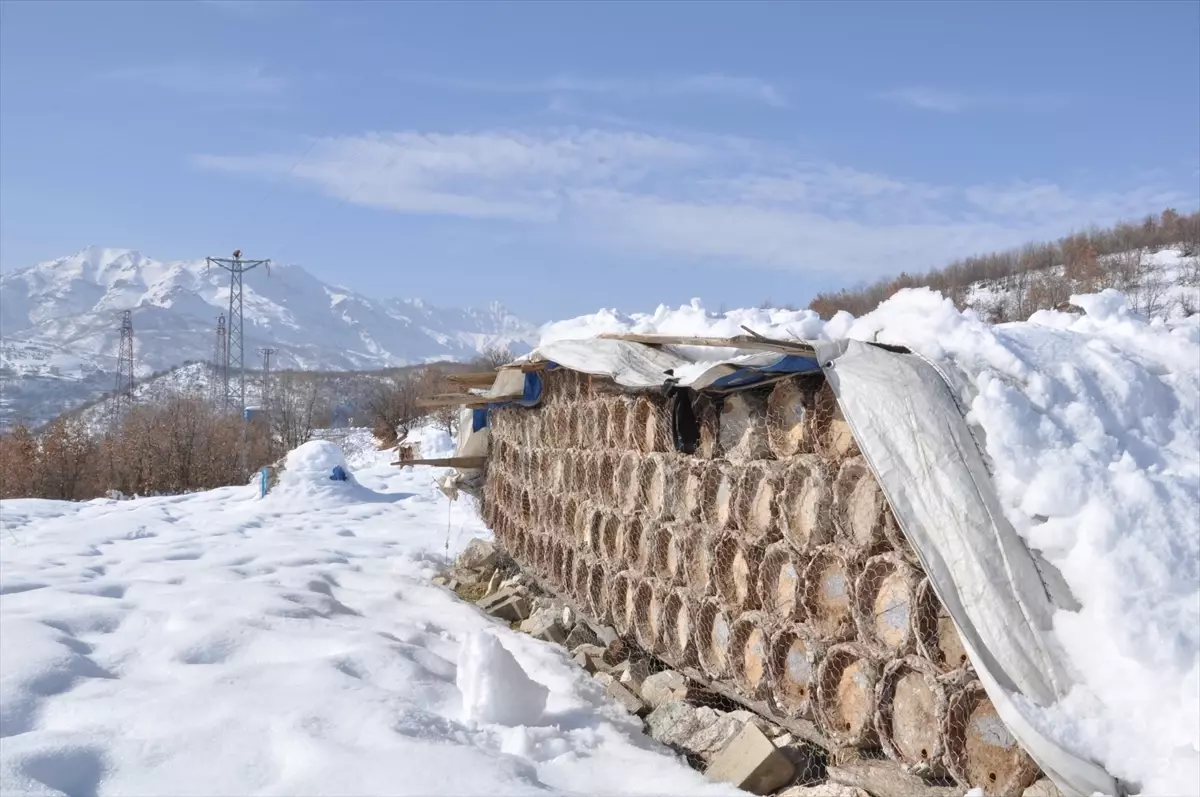 Hizan’da Arılar Kışla Mücadele Ediyor