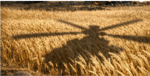 Hürmüz Boğazı Alarmı: Enerji Krizi Gıda Fiyatlarını da Vurabilir