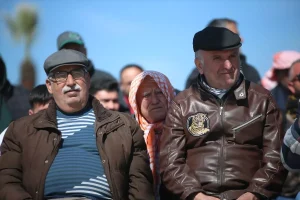 İncirliova Deve Güreşi Festivali Yapıldı