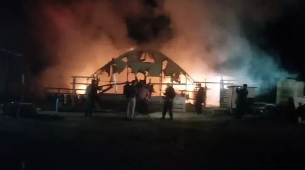 İnegöl’de Hayvan Çiftliğinde Yangın: 580 Hayvan Telef Oldu