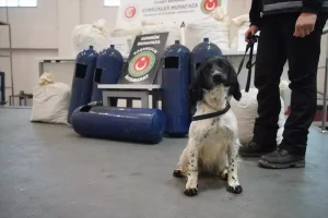 İpsala’da 35 Kilo Uyuşturucu Ele Geçirildi