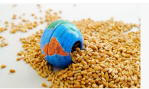 İran savaşı küresel gıda krizini tetikliyor