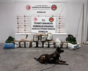 İran’dan Gelen TIR’da 51 Kilo Esrar Ele Geçirildi