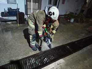 İskenderun’da Mahsur Kedi ve Yavru Kurtarıldı