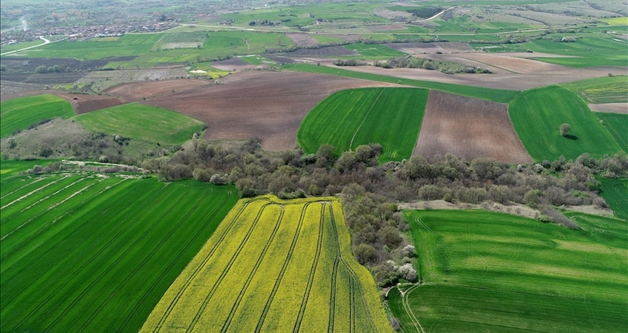 İstanbul’a komşu 4 şehir sessizce değerleniyor: Yatırım yapan servet kazanacak