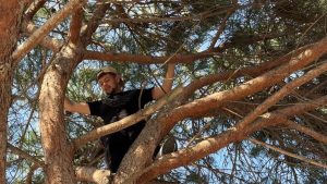 İstanbul’da ağaçta mahsur kalan genç, itfaiye merdiveniyle kurtarıldı