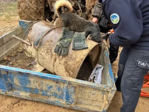 Kafası Varile Sıkışan Köpeğe İtfaiye Kurtardı