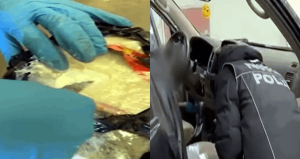 Kapıkule’de otomobilde 8 kilo 60 gram kokain yakalandı