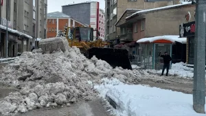 Kar, Karadeniz’de Hayatı Olumsuz Etkiliyor